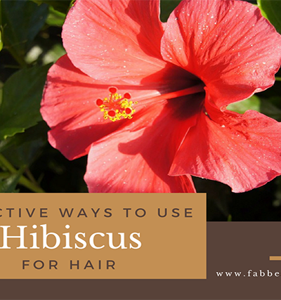hibiscus flower for hair, hibiscus for hair, hibiscus for hair care, hibiscus for hair growth