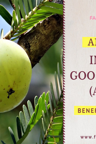 amla benefits, amla benefits for health, amla for hair, amla for skin