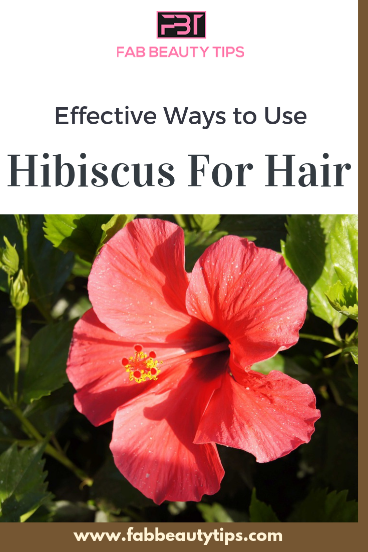 hibiscus flower for hair, hibiscus for hair, hibiscus for hair care, hibiscus for hair growth